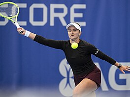 Barbora Krej�íková v utkání proti Lind� Fruhvirtové na Prague Open.