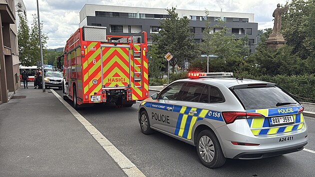 Inventura v Archivu bezpe�nostn�ch slo�ek v pra�sk�m Bran�ku odhalila chemik�lie, kter� hasi�i a policist� vyhodnotili jako nebezpe�n�. (21. �ervence 2026)