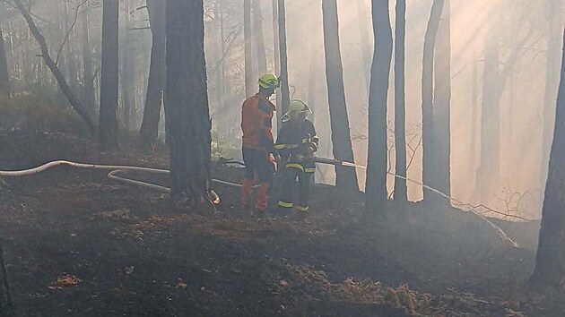 Koncentrace jedovatého ozonu v Česku: smogová situace platí ve třech krajích