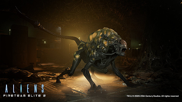 Aliens: Fireteam Elite 2