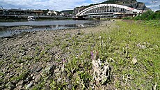 Vyschlé koryto �eky Labe v Ústí nad Labem (22. �ervence 2026)