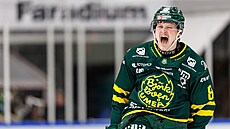 �védský obránce Lucas Nordsäter se raduje z gólu.