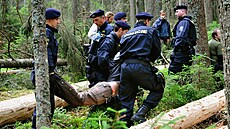 Takto policisté v uplynulých dnech vyvád�li aktivisty z lesa, dnes je budou muset dostat dol� z korun strom�.