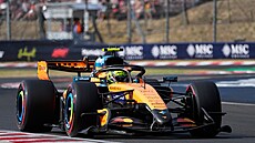 Lando Norris b�hem kvalifikace na Velkou cenu Ma�arska.