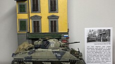 Dokon�ené diorama