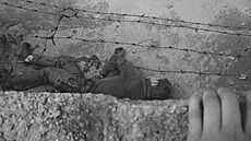 Umírající Peter Fechter. Snímek po�ídil 17. srpna 1962 fotograf deníku Bild...