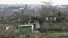 �e�i milují zahrádka�ení. Na vlastním i v koloniích