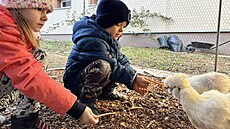O záhony se starají i d�ti. Peníze na budování nových zahrad ale u� budou �koly...