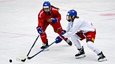 Chomutov, 29. 07. 2026, trénink �eské hokejové reprezentace �en.