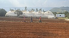 Indická spole�nost Tara Farm Fresh je známá p�edev�ím p�stováním jahod.
