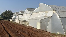 Indická spole�nost Tara Farm Fresh je známá p�edev�ím p�stováním jahod.
