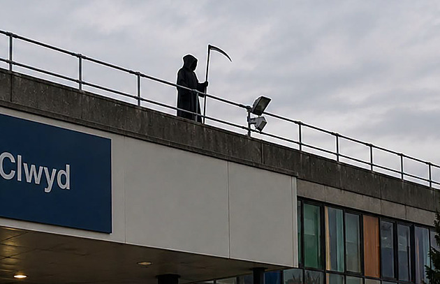Man in Grim Reaper costume on hospital roof claims he was a bird