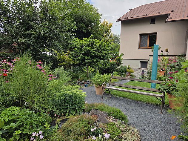 Reader Transforms Barren Industrial Land into Thriving Garden