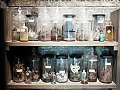 Momentka z výstavy Harry Potter�: The Exhibition v pra�ských Let�anech (6....
