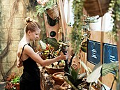 Momentka z výstavy Harry Potter�: The Exhibition v pra�ských Let�anech (6....