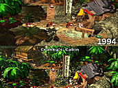 Donkey Kong Country