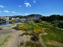 Zna�n� vyschlé koryto Labe v centru Ústí nad Labem. (6. srpna 2026)