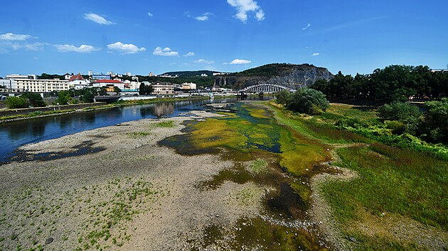 Zna�n� vyschlé koryto Labe v centru Ústí nad Labem. (6. srpna 2026)