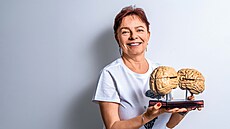 Bolest hlavy je spolu s epilepsií nejstar�í popsané neurologické onemocn�ní....