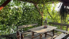 Pergola