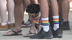 Prague Pride za�al na pra�ském St�eleckém ostrov�. (3. srpna 2026)