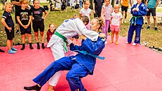 Ve Sportovním parku si d�ti mohou vyzkou�et desítky sport�. (6. srpna 2026)