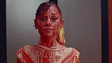 Ariana Grande v novém klipu petal