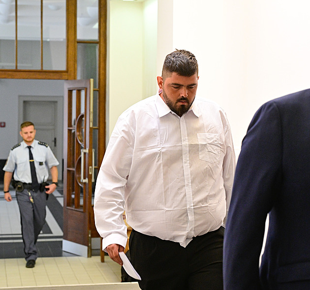 Sadista ze Siřemi jde na 15 let do vězení. Naprosto výjimečný případ, míní soudkyně