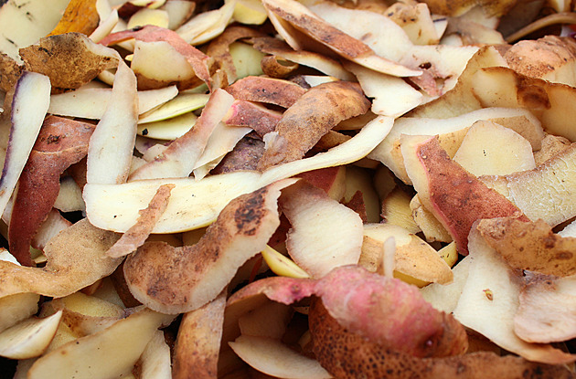 Stop the waste: 10 common vegetable scraps that are full of nutrients