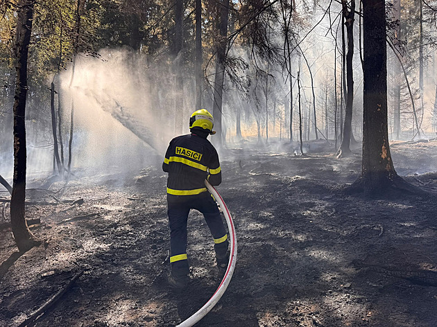 Plameny z pole na Klatovsku zasáhly i blízký les, hašení komplikoval vítr