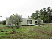 Vedlej�ím výstupem té snahy neni�it zbyte�n� stromy je pak i onen nezvyklý...