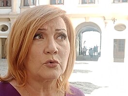 Ministryn� financí a místop�edsedkyn� financí Alena Schillerová v Senátu (12....