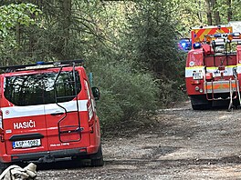 V Dob�ichovicích zasahovali hasi�i u po�áru chaty. (10. srpna 2026)