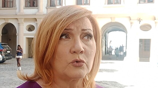 Senátoři potěšili Schillerovou, protože nezamítli EET. Je to velký posun, říká