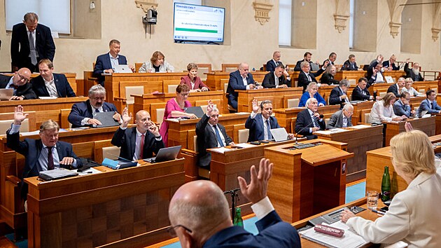 Senát se střelil do vlastní nohy. Místo vylepšování zákona raději politikařil | Názory