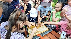 Projektu �emeslo do �kol, který zast�e�uje platforma Liberecký kraj sob�, se...