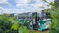 Virág Szabóová, která v této oblasti tráví léto u� od d�tství, p�i�la s...