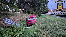 Felicia skon�ila ve Vítonicích na Krom��í�sku v potoce. �idi� z místa zmizel...