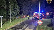 Felicia skon�ila ve Vítonicích na Krom��í�sku v potoce. �idi� z místa zmizel...