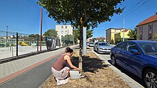 �ty�ka se p�ipravuje na zm�ny v pé�i o zele�