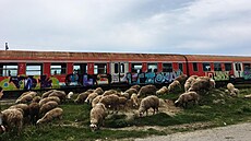 Dokumentární série Po kolejích dávných �eleznic ukazuje kouzlo �eleznice v...