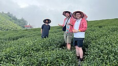 �ajové plantá�e v horské oblasti A-li-�an. Náv�t�vníci si zde mohou vyzkou�et...