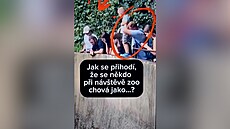 Náv�t�vníci zoo v Ostrav� i p�es zákaz krmili opice, ohrozili i dít�
