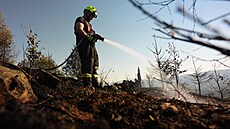 Zásah hasi�� na vrchu Skalka v katastru obce Ko�a�iska na T�inecku. (16. srpna...