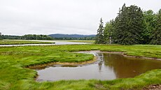 Drsná krása Národního parku Acadia