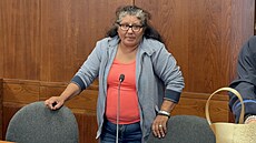 Zuzana Drinková u olomouckého vrchního soudu, který zamítl její odvolání proti...