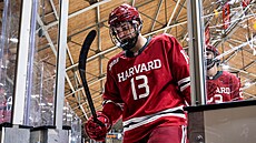 Marek Hejduk v dresu univerzity Harvard