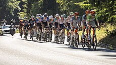 Momentka z cyklistického závodu Czech Tour