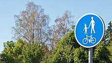 Dlouhotrvající sucho zp�sobilo, �e v plze�ských parcích za�ínají usychat...