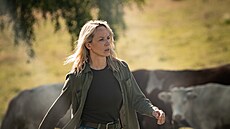 Petra H�ebí�ková v seriálu Hec (2026)
